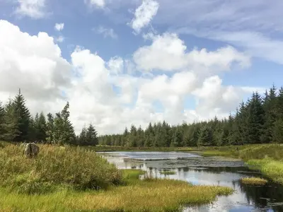 a river in a field with grass and trees at Pinclanty Cottage in Pinmore