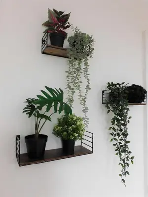 two shelves with plants on a wall at Comfortable 4 bed Apt in Paisley Next to Station in Paisley