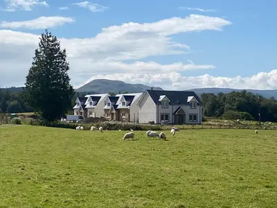 a herd of sheep grazing in a field in front of a house at Iora Rua-Uk40006 in Gartmore