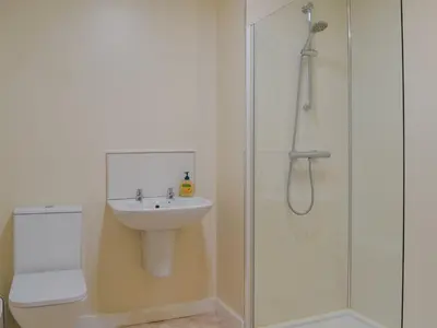 a bathroom with a toilet sink and a shower at Holly - Apartment in Aberfoyle
