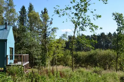 a tiny house in the woods with a deck at Mertrick in Forest Mill