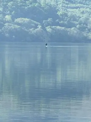 a small boat in the middle of a large body of water at Bell Rock Holiday Lodge in Killin
