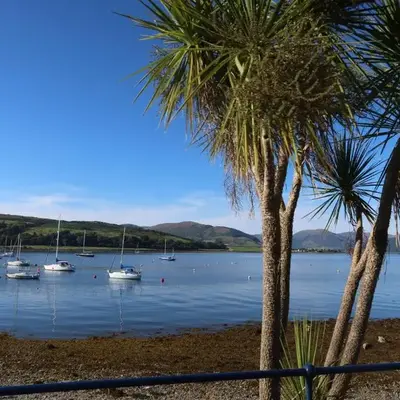 An Cuilidh