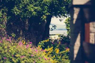 a garden with pink flowers and trees and a field at Walled Garden Lodges Loch Lomond in Balloch