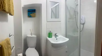 a bathroom with a toilet and a sink and a shower at Cosy detached house in central location in Oban