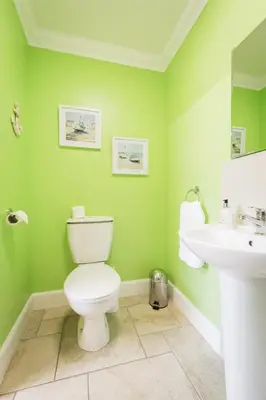 a green bathroom with a toilet and a sink at The Old Byre with Hot Tub in Forgandenny
