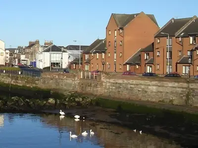 a group of swans swimming in a river with houses at Stunning Refurbished 1 Bedroom, Harbour Apartment. in Ayr