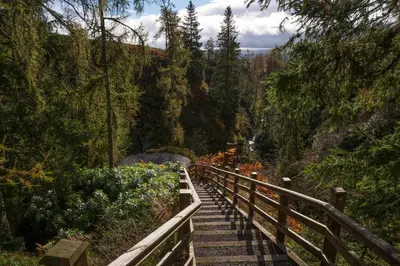a set of stairs leading down a hill with trees at Pigeon Cottage - Luxury country steading in Perth