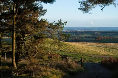a hill with a tree and a grassy field at Oystercatcher - Converted luxury steading in Perth