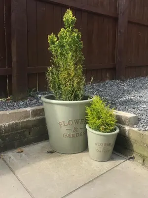 two large pots with plants in them on a sidewalk at Bluebell Lodge 24 with Hot Tub in Newton Stewart