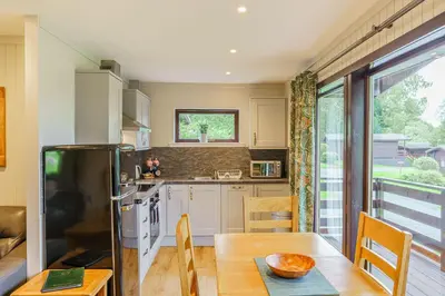 a kitchen with a wooden table and a refrigerator at Birch Lodge 21 with Hot Tub in Newton Stewart