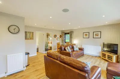 a living room with a couch and a television at Conifer Lodge 8 with Hot Tub in Newton Stewart
