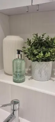 a bathroom shelf with a bottle of soap and a plant at Merchantcityflat in Glasgow