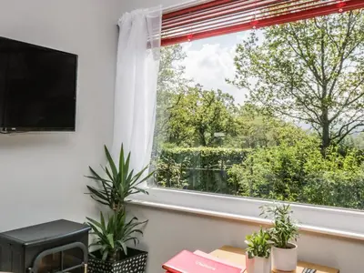 a living room with a window and plants at The Old School Bike Shed in Stirling
