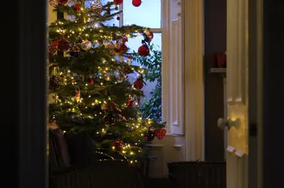 a christmas tree with christmas lights in a room at Blarcreen in Oban