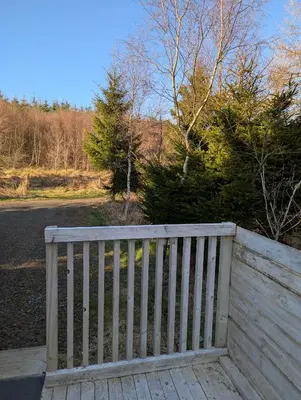 a white wooden fence with trees in the background at Blair snug hut in Kelty