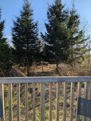 a white fence with two pine trees in the background at Blair snug hut in Kelty