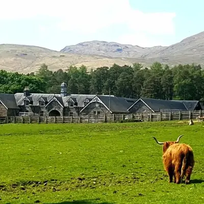 The Bothy