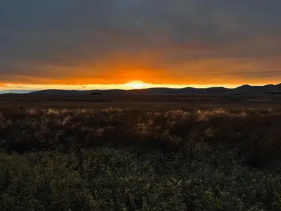 a sunset in the middle of a field at East Kip - Dog Friendly in Penicuik