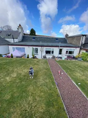 a dog standing in the yard of a house at Minton cottage in Leadhills