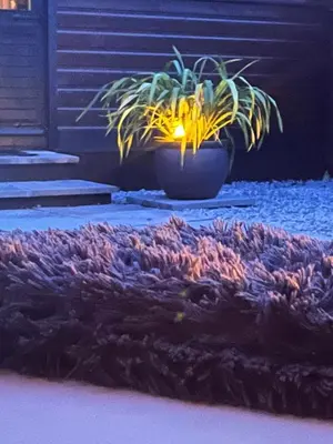 a plant in a pot on a porch with a rug at The Carriage at Creagan in Creagan